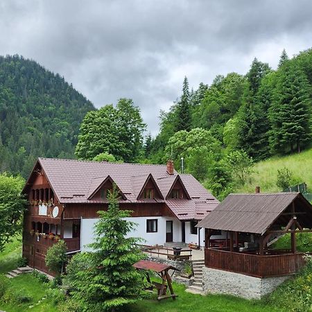 Pensiunea Susman Rachitele Exterior photo